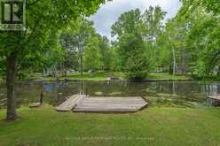 15 SACKITT ROAD Kawartha Lakes