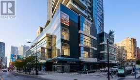 41 - 384 YONGE STREET Toronto 