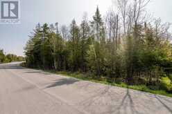 LOT 438 CHAMPLAIN ROAD Tiny