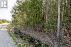 LOT 438 CHAMPLAIN ROAD Tiny