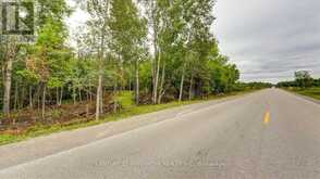 791 MOUNT HOREB ROAD Kawartha Lakes