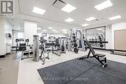 719 - 1060 SHEPPARD AVENUE W Toronto 