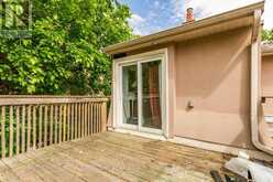 61 BUTTONWOOD AVENUE Toronto 