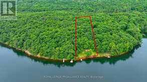 LOT 25 UPPER RIDEAU LAKE Rideau Lakes