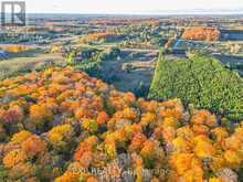 LOT 29 CON. 8, HIGHWAY 9 Caledon 