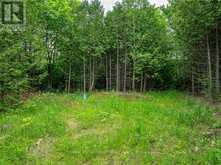 LOT 31 8TH CONCESSION B Grey Highlands