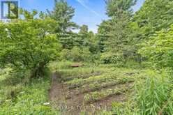 7899 15 SIDE ROAD Halton Hills