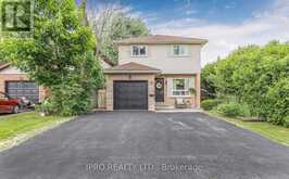 3 COURTICE CRESCENT Collingwood