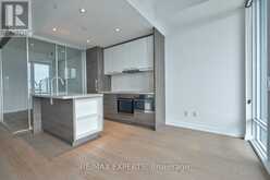 3509 - 488 UNIVERSITY AVENUE Toronto 