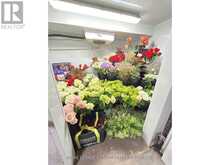 3234 YONGE STREET Toronto