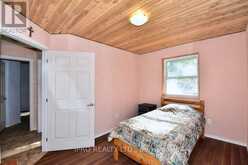 113 JULIAN LAKE ROAD North Kawartha