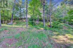 119 GAZELLE TRAIL North Kawartha