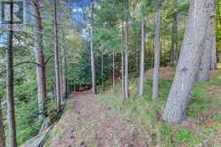 119 GAZELLE TRAIL North Kawartha