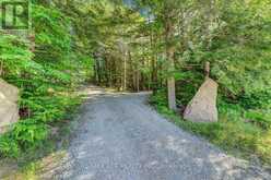 119 GAZELLE TRAIL North Kawartha