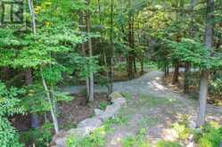 119 GAZELLE TRAIL North Kawartha