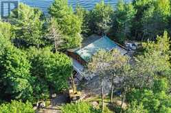 111 GAZELLE TRAIL North Kawartha