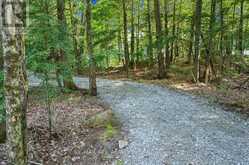 111 GAZELLE TRAIL North Kawartha