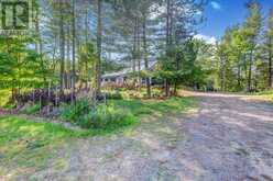 111 GAZELLE TRAIL North Kawartha