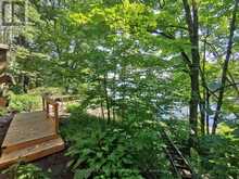 91 HEALEY LAKE WATER/A The Archipelago