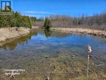 5135 SIDE ROAD 25 Orillia