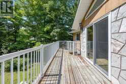 20 TALL PINES DRIVE Tiny