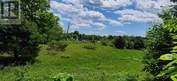 99 ANSTRUTHER LAKE ROAD North Kawartha