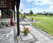 390 BRIMLEY ROAD S Alnwick/Haldimand 