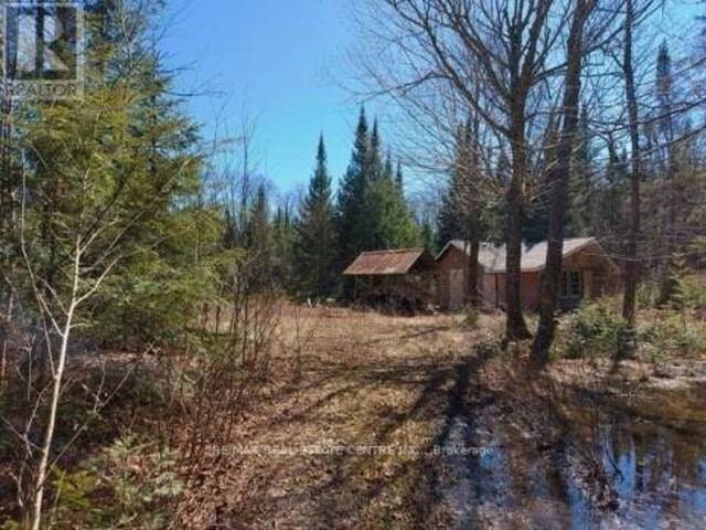 1759 YEARLY ROAD McMurrich/Monteith Ontario