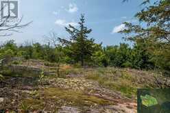 LOT 11 RITZ ROAD Rideau Lakes