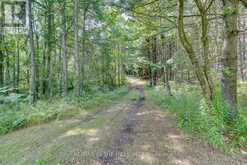 LOT 11 CONCESSION 4 ESCARPMENT SIDE ROAD Caledon