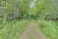 LOT 11 ESCARPMENT SIDE ROAD Caledon