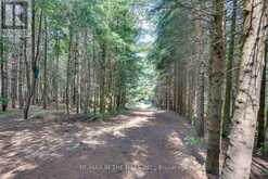 LOT 11 CONCESSION 4 ESCARPMENT SIDE ROAD Caledon