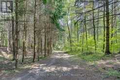 LOT 11 CONCESSION 4 ESCARPMENT SIDE ROAD Caledon