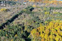 LOT 11 CONCESSION 4 ESCARPMENT SIDE ROAD Caledon