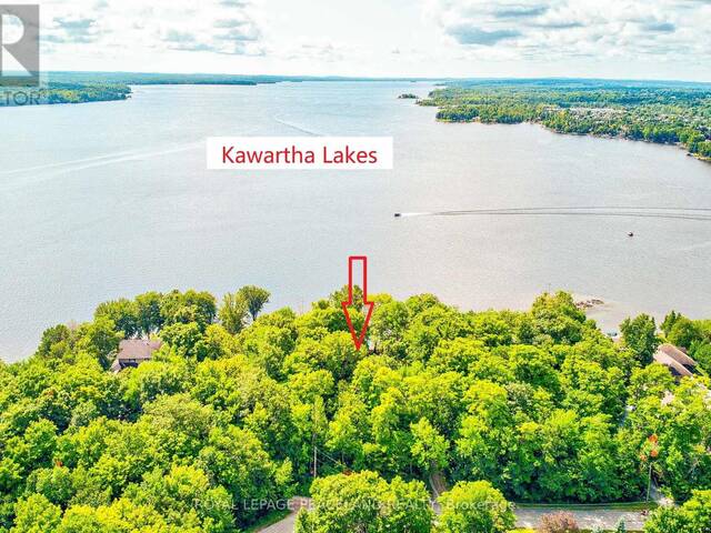 317 RIVERSIDE DRIVE Kawartha Lakes Ontario