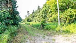 628190 15TH SIDE ROAD Mulmur