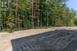 435 BEECHWOOD FOREST LANE Gravenhurst