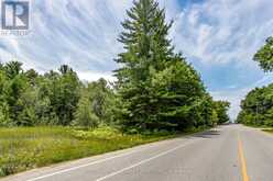 LOT 167 LAFONTAINE ROAD W Tiny