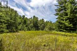 LOT 167 LAFONTAINE ROAD W Tiny