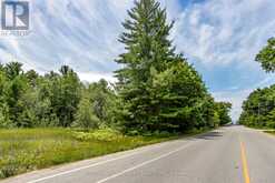 LOT 167 LAFONTAINE ROAD W Tiny