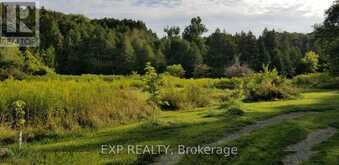 5693 EAST TOWNLINE ROAD Port Hope