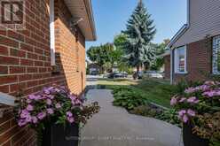 18 LUMINOUS COURT Brampton 