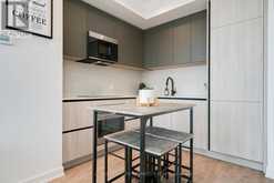 4115 - 108 PETER STREET Toronto