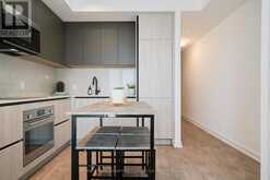 4115 - 108 PETER STREET Toronto