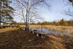 220 MCGUIRE BEACH ROAD Kawartha Lakes 