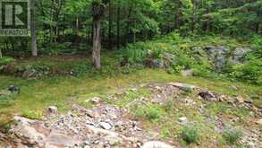 12 SEVERN RIVER ROAD Muskoka