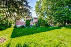 10 CHESTNUT AVENUE Brampton 