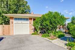 10 CHESTNUT AVENUE Brampton 