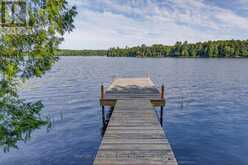 1072 MENOMINEE LAKE ROAD S Lake of Bays