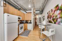 209 - 32 STEWART STREET Toronto